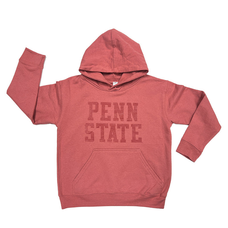 Pink penn shop state hoodie