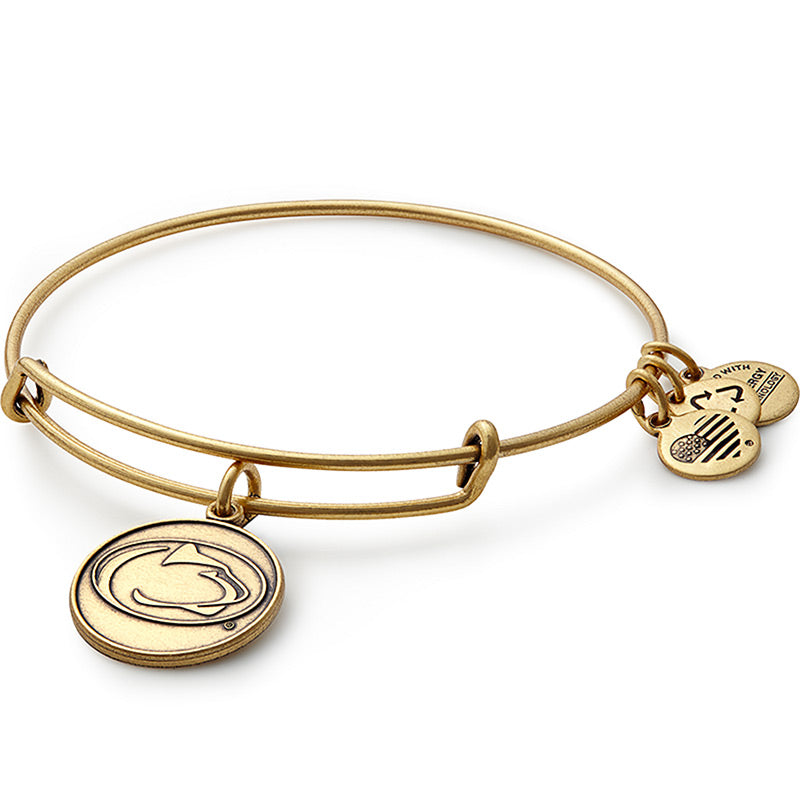 Alex and ani 21 on sale bracelet