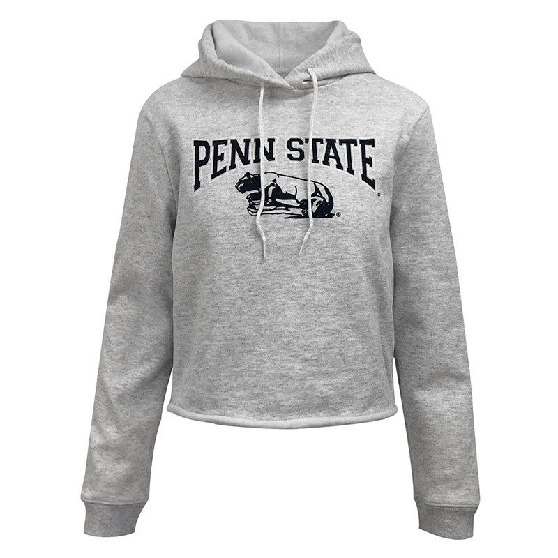 Penn state hot sale cropped hoodie