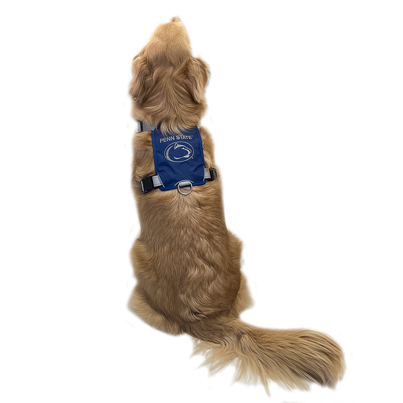 Baydog Penn State Nittany Lions Dog Harness Large Blue