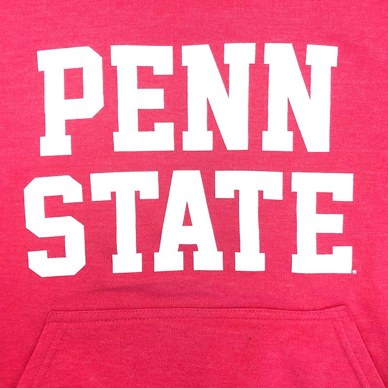 Pink penn 2025 state sweatshirt